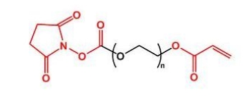 NHS-PEG-Acrylate AC-PEG-NHS  活性酯聚乙二醇丙烯酸酯