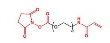 NHS-PEG-ACA ACA-PEG-NHS  活性酯聚乙二醇丙烯酰胺