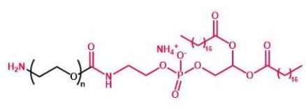 NH2-PEG-DSPE DSPE-PEG-Amine  磷脂聚乙二醇氨基