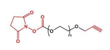 NHS-PEG-Alkyne Alkyne-PEG-NHS  活性酯聚乙二醇丙炔