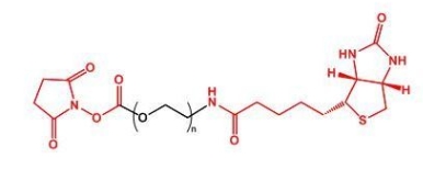  NHS-PEG-Biotin Biotin-PEG-NHS  生物素聚乙二醇活性酯