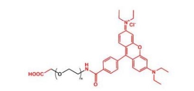  NHS-PEG-Rhodamine Rhodamine-PEG-NHS  活性酯聚乙二醇罗丹明