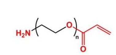 AC-PEG-NH2 NH2-PEG-Acrylate  氨基聚乙二醇丙烯酸酯