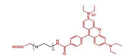COOH-PEG-Rhodamine RB-PEG-COOH  罗丹明聚乙二醇羧基