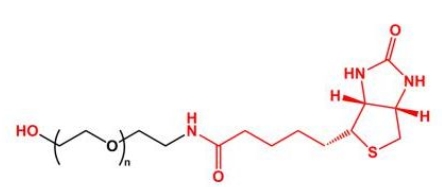 HO-PEG-Biotin Biotin-PEG-OH  羟基聚乙二醇生物素