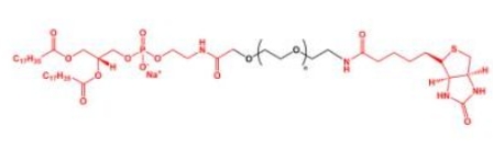 DSPE-PEG-Biotin Biotin-PEG-DSPE  磷脂聚乙二醇生物素