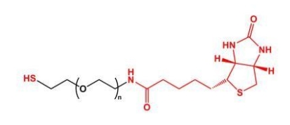 SH-PEG-Biotin Biotin-PEG-SH 巯基聚乙二醇生物素