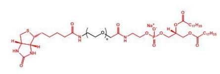Biotin-PEG-DSPE DSPE-PEG-Biotin  生物素聚乙二醇磷脂