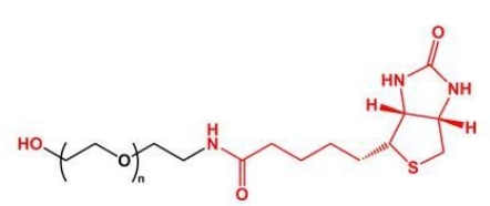 HO-PEG-Biotin Biotin-PEG-OH  羟基聚乙二醇生物素