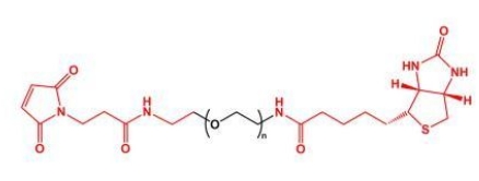 MAL-PEG-Biotin Biotin-PEG-MAL  马来酰亚胺聚乙二醇生物素