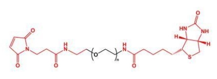 MAL-PEG-Biotin Biotin-PEG-MAL  马来酰亚胺聚乙二醇生物素