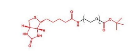 Biotin-PEG-COOtBu Biotin-PEG-TERT  生物素聚乙二醇叔丁酯