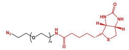  Azide-PEG-Biotin Biotin-PEG-Azide	叠氮聚乙二醇生物素