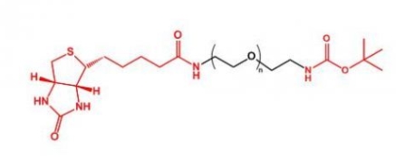 Boc-NH-PEG-Biotin Boc-PEG-Biotin 生物素聚乙二醇叔丁氧羰基