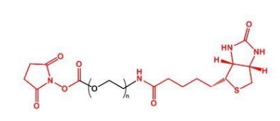 NHS-PEG-Biotin Biotin-PEG-NHS 活性酯聚乙二醇生物素