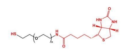  SH-PEG-Biotin Biotin-PEG-SH  巯基聚乙二醇生物素