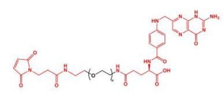 MAL-PEG-FA Folate-PEG-Mal  叶酸聚乙二醇马来酰亚胺