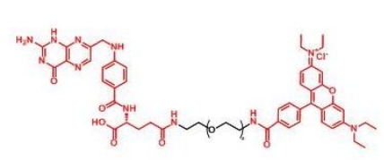 RB-PEG-Folate Folate-PEG-RB  罗丹明聚乙二醇叶酸