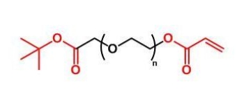 COOtBu-PEG-AC COOtBu-PEG-Acrylate  叔丁酯聚乙二醇丙烯酸酯