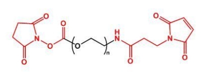 NHS-PEG-MAL MAL-PEG-NHS 活性酯聚乙二醇马来酰亚胺