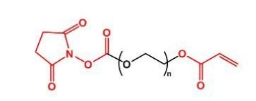 NHS-PEG-Acrylate AC-PEG-NHS 活性酯聚乙二醇丙烯酸酯