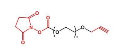 NHS-PEG-Alkyne Alkyne-PEG-NHS  活性酯聚乙二醇丙炔
