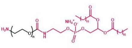 DSPE-PEG-NH2 NH2-PEG-DSPE DSPE-PEG-Amine  磷脂聚乙二醇氨基 