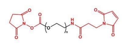  NHS-PEG-MAL MAL-PEG-NHS  活性酯聚乙二醇马来酰亚胺
