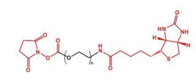 NHS-PEG-Biotin Biotin-PEG-NHS  活性酯聚乙二醇生物素