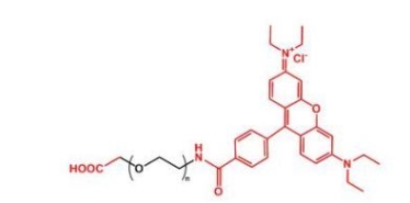 NHS-PEG-Rhodamine Rhodamine-PEG-NHS	活性酯聚乙二醇罗丹明 