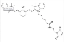 Sulfo CY7 Mal；2120392-49-4；磺酸基CY7标记马来酰亚胺