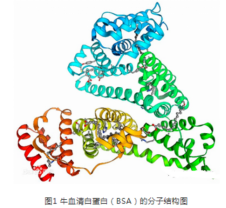 Hitamine-BSA组胺BSA；组胺-聚乙二醇-牛血清白蛋白组胺牛血清白蛋白
