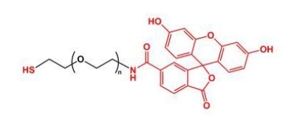 SH-PEG-FITC Thiol-PEG-FITC  荧光素聚乙二醇巯基 