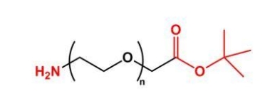 NH2-PEG-COOtBu COOtBu-PEG-NH2  氨基聚乙二醇叔丁酯
