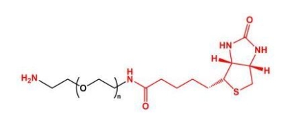 NH2-PEG-BN Biotin-PEG-NH2  氨基聚乙二醇生物素 