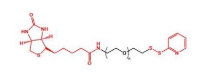 OPSS-PEG-Biotin OPSS-PEG-Biotin  生物素聚乙二醇巯基吡啶