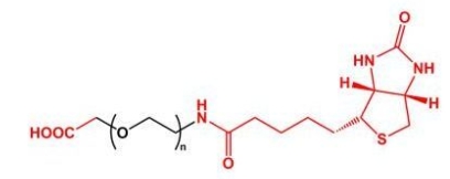  Biotin-PEG-COOH COOH-PEG-BN 羧基聚乙二醇生物素