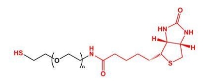  SH-PEG-Biotin Biotin-PEG-SH  巯基聚乙二醇生物素