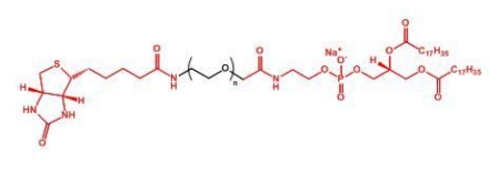 Biotin-PEG-DSPE DSPE-PEG-Biotin  生物素聚乙二醇磷脂