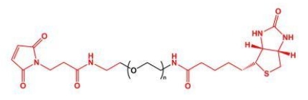 MAL-PEG-Biotin Biotin-PEG-MAL  马来酰亚胺聚乙二醇生物素