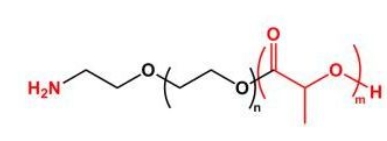 PLA-PEG-NH2 NH2-PEG-PLA  聚乳酸聚乙二醇氨基 