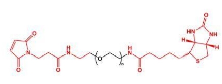 MAL-PEG-Biotin Biotin-PEG-MAL  马来酰亚胺聚乙二醇生物素 