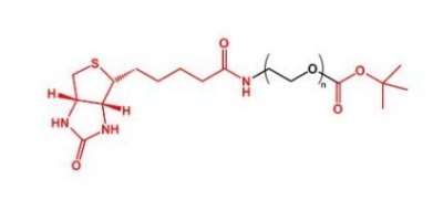 Biotin-PEG-COOtBu Biotin-PEG-TERT  生物素聚乙二醇叔丁酯
