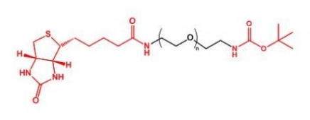  Boc-NH-PEG-Biotin Boc-PEG-Biotin  生物素聚乙二醇叔丁氧羰基