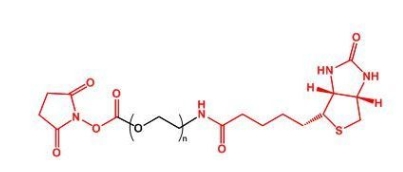 NHS-PEG-Biotin Biotin-PEG-NHS  活性酯聚乙二醇生物素