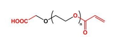 AC-PEG-COOH COOH-PEG-Acrylate  羧基聚乙二醇丙烯酸酯 