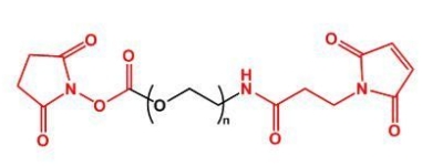 NHS-PEG-MAL MAL-PEG-NHS 活性酯聚乙二醇马来酰亚胺