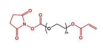 NHS-PEG-Acrylate AC-PEG-NHS  活性酯聚乙二醇丙烯酸酯