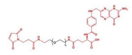  MAL-PEG-FA Folate-PEG-Mal	叶酸聚乙二醇马来酰亚胺