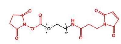 NHS-PEG-MAL MAL-PEG-NHS  活性酯聚乙二醇马来酰亚胺 
